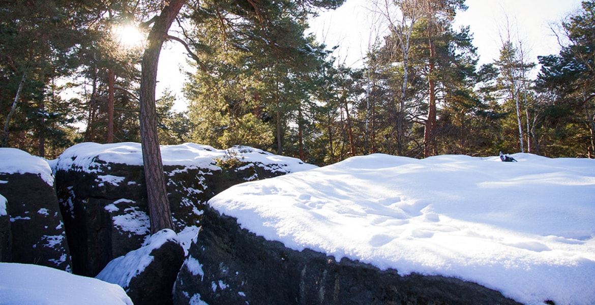 Eine fantastische Landschaft