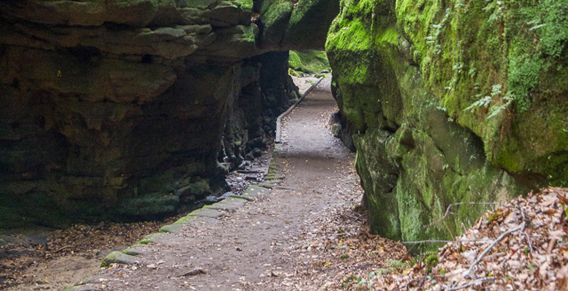 Wanderung zum Felsentor im Uttewalder Grund - Sächsische Schweiz